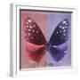 Miss Butterfly Euploea Sq - Red & Purple-Philippe Hugonnard-Framed Photographic Print