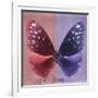 Miss Butterfly Euploea Sq - Red & Purple-Philippe Hugonnard-Framed Photographic Print