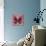 Miss Butterfly Euploea Sq - Red-Philippe Hugonnard-Photographic Print displayed on a wall