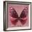 Miss Butterfly Euploea Sq - Red-Philippe Hugonnard-Framed Photographic Print