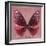 Miss Butterfly Euploea Sq - Red-Philippe Hugonnard-Framed Photographic Print