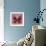 Miss Butterfly Euploea Sq - Red-Philippe Hugonnard-Framed Photographic Print displayed on a wall