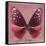 Miss Butterfly Euploea Sq - Red-Philippe Hugonnard-Framed Stretched Canvas