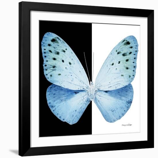 Miss Butterfly Euploea Sq - X-Ray B&W Edition-Philippe Hugonnard-Framed Photographic Print