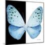 Miss Butterfly Euploea Sq - X-Ray B&W Edition-Philippe Hugonnard-Mounted Photographic Print