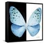 Miss Butterfly Euploea Sq - X-Ray B&W Edition-Philippe Hugonnard-Framed Stretched Canvas