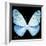Miss Butterfly Euploea Sq - X-Ray Black Edition-Philippe Hugonnard-Framed Photographic Print