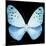 Miss Butterfly Euploea Sq - X-Ray Black Edition-Philippe Hugonnard-Mounted Photographic Print