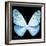 Miss Butterfly Euploea Sq - X-Ray Black Edition-Philippe Hugonnard-Framed Photographic Print