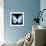 Miss Butterfly Euploea Sq - X-Ray Black Edition-Philippe Hugonnard-Framed Photographic Print displayed on a wall