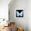 Miss Butterfly Euploea Sq - X-Ray Black Edition-Philippe Hugonnard-Framed Photographic Print displayed on a wall