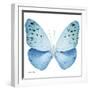 Miss Butterfly Euploea Sq - X-Ray White Edition-Philippe Hugonnard-Framed Photographic Print