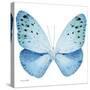Miss Butterfly Euploea Sq - X-Ray White Edition-Philippe Hugonnard-Stretched Canvas