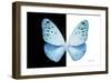 Miss Butterfly Euploea - X-Ray B&W Edition-Philippe Hugonnard-Framed Photographic Print