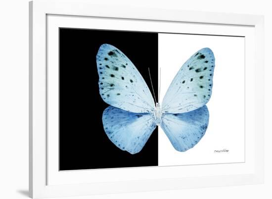 Miss Butterfly Euploea - X-Ray B&W Edition-Philippe Hugonnard-Framed Photographic Print