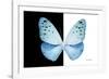 Miss Butterfly Euploea - X-Ray B&W Edition-Philippe Hugonnard-Framed Photographic Print