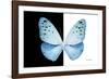 Miss Butterfly Euploea - X-Ray B&W Edition-Philippe Hugonnard-Framed Photographic Print