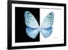 Miss Butterfly Euploea - X-Ray B&W Edition-Philippe Hugonnard-Framed Photographic Print