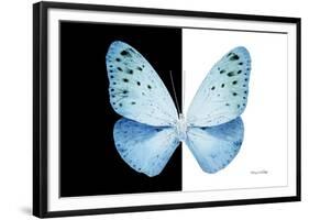 Miss Butterfly Euploea - X-Ray B&W Edition-Philippe Hugonnard-Framed Photographic Print