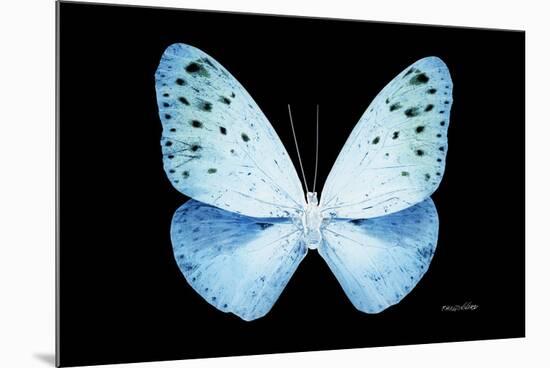 Miss Butterfly Euploea - X-Ray Black Edition-Philippe Hugonnard-Mounted Photographic Print