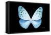 Miss Butterfly Euploea - X-Ray Black Edition-Philippe Hugonnard-Framed Stretched Canvas