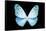 Miss Butterfly Euploea - X-Ray Black Edition-Philippe Hugonnard-Framed Stretched Canvas