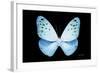 Miss Butterfly Euploea - X-Ray Black Edition-Philippe Hugonnard-Framed Photographic Print