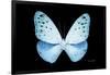 Miss Butterfly Euploea - X-Ray Black Edition-Philippe Hugonnard-Framed Photographic Print