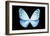 Miss Butterfly Euploea - X-Ray Black Edition-Philippe Hugonnard-Framed Photographic Print