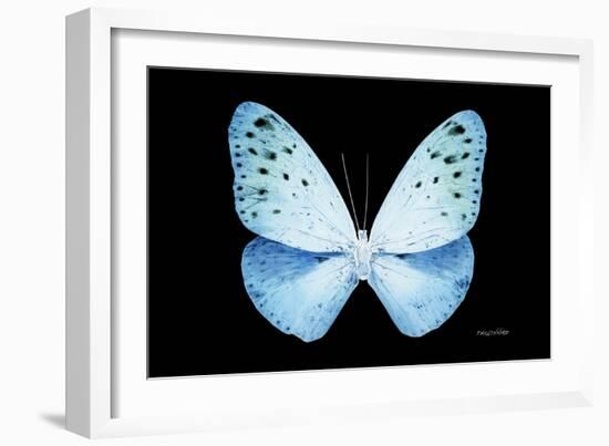 Miss Butterfly Euploea - X-Ray Black Edition-Philippe Hugonnard-Framed Photographic Print