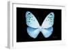 Miss Butterfly Euploea - X-Ray Black Edition-Philippe Hugonnard-Framed Photographic Print