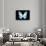 Miss Butterfly Euploea - X-Ray Black Edition-Philippe Hugonnard-Stretched Canvas displayed on a wall