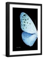 Miss Butterfly Euploea - X-Ray Left Black Edition-Philippe Hugonnard-Framed Photographic Print