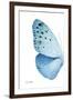 Miss Butterfly Euploea - X-Ray Left White Edition-Philippe Hugonnard-Framed Premium Photographic Print