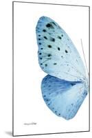 Miss Butterfly Euploea - X-Ray Left White Edition-Philippe Hugonnard-Mounted Premium Photographic Print