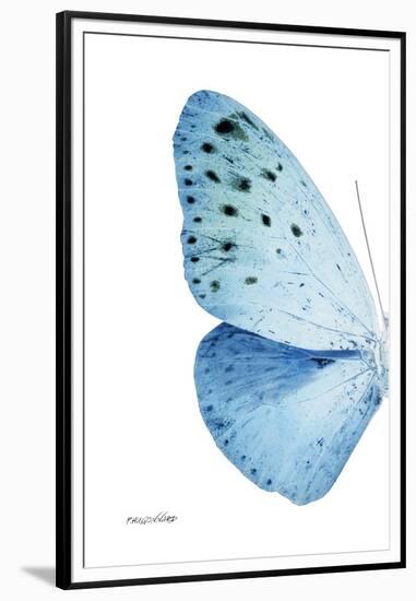 Miss Butterfly Euploea - X-Ray Left White Edition-Philippe Hugonnard-Framed Premium Photographic Print