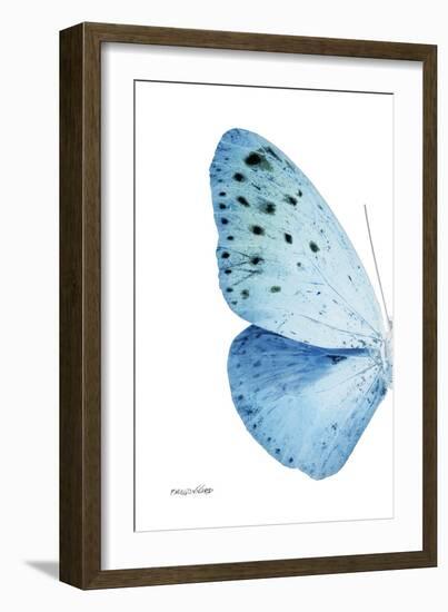 Miss Butterfly Euploea - X-Ray Left White Edition-Philippe Hugonnard-Framed Photographic Print