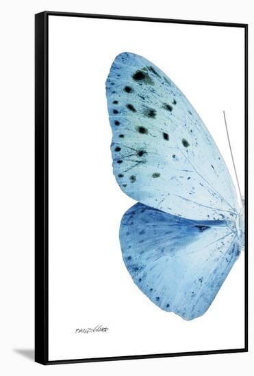 Miss Butterfly Euploea - X-Ray Left White Edition-Philippe Hugonnard-Framed Stretched Canvas