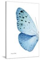 Miss Butterfly Euploea - X-Ray Left White Edition-Philippe Hugonnard-Stretched Canvas
