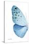 Miss Butterfly Euploea - X-Ray Left White Edition-Philippe Hugonnard-Stretched Canvas