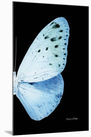 Miss Butterfly Euploea - X-Ray Right Black Edition-Philippe Hugonnard-Mounted Premium Photographic Print