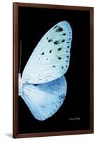 Miss Butterfly Euploea - X-Ray Right Black Edition-Philippe Hugonnard-Framed Photographic Print