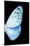 Miss Butterfly Euploea - X-Ray Right Black Edition-Philippe Hugonnard-Mounted Photographic Print