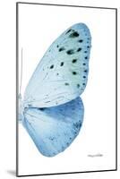 Miss Butterfly Euploea - X-Ray Right White Edition-Philippe Hugonnard-Mounted Photographic Print