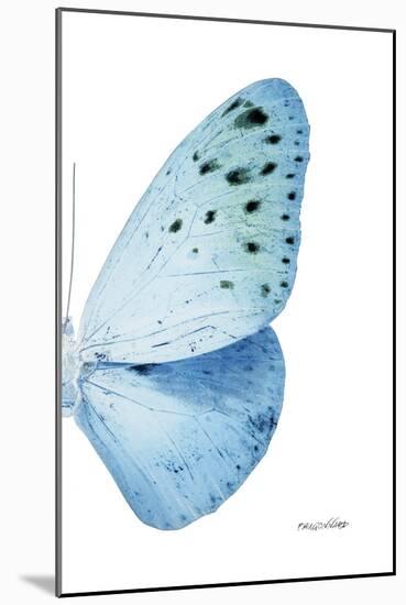 Miss Butterfly Euploea - X-Ray Right White Edition-Philippe Hugonnard-Mounted Photographic Print
