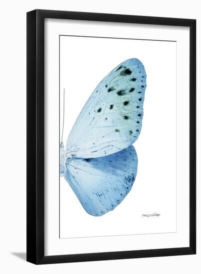 Miss Butterfly Euploea - X-Ray Right White Edition-Philippe Hugonnard-Framed Premium Photographic Print