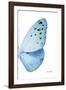 Miss Butterfly Euploea - X-Ray Right White Edition-Philippe Hugonnard-Framed Photographic Print