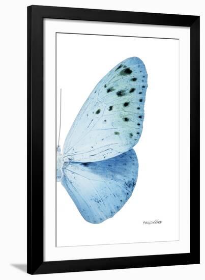 Miss Butterfly Euploea - X-Ray Right White Edition-Philippe Hugonnard-Framed Photographic Print