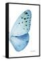 Miss Butterfly Euploea - X-Ray Right White Edition-Philippe Hugonnard-Framed Stretched Canvas