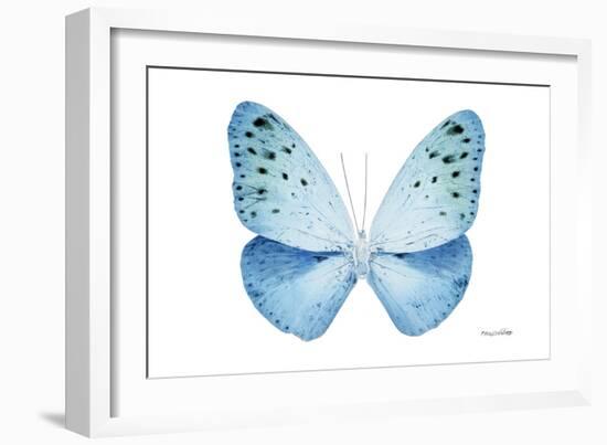 Miss Butterfly Euploea - X-Ray White Edition-Philippe Hugonnard-Framed Photographic Print